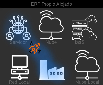 implantar ERP Alojado en servidor